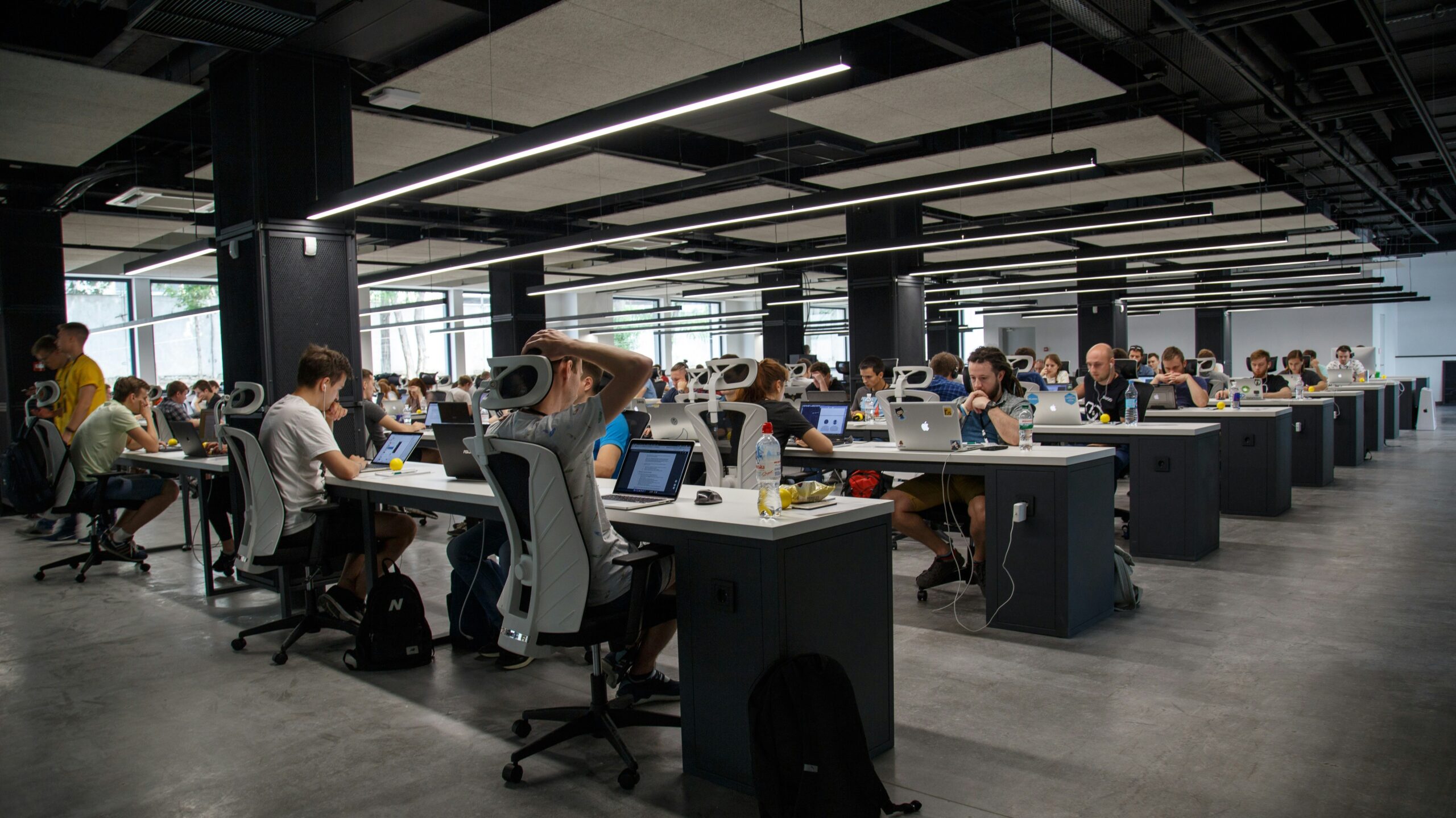 people doing office works