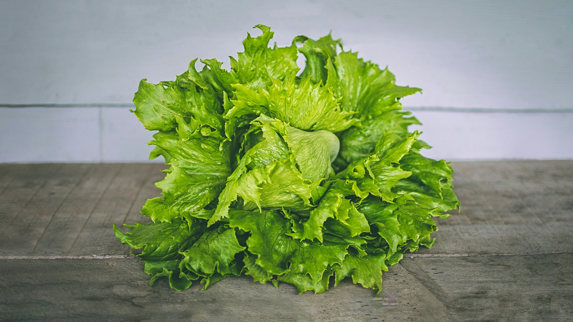 Lettuce ran 32% above last June, and USDA sees vegetables up 6.8% this year
