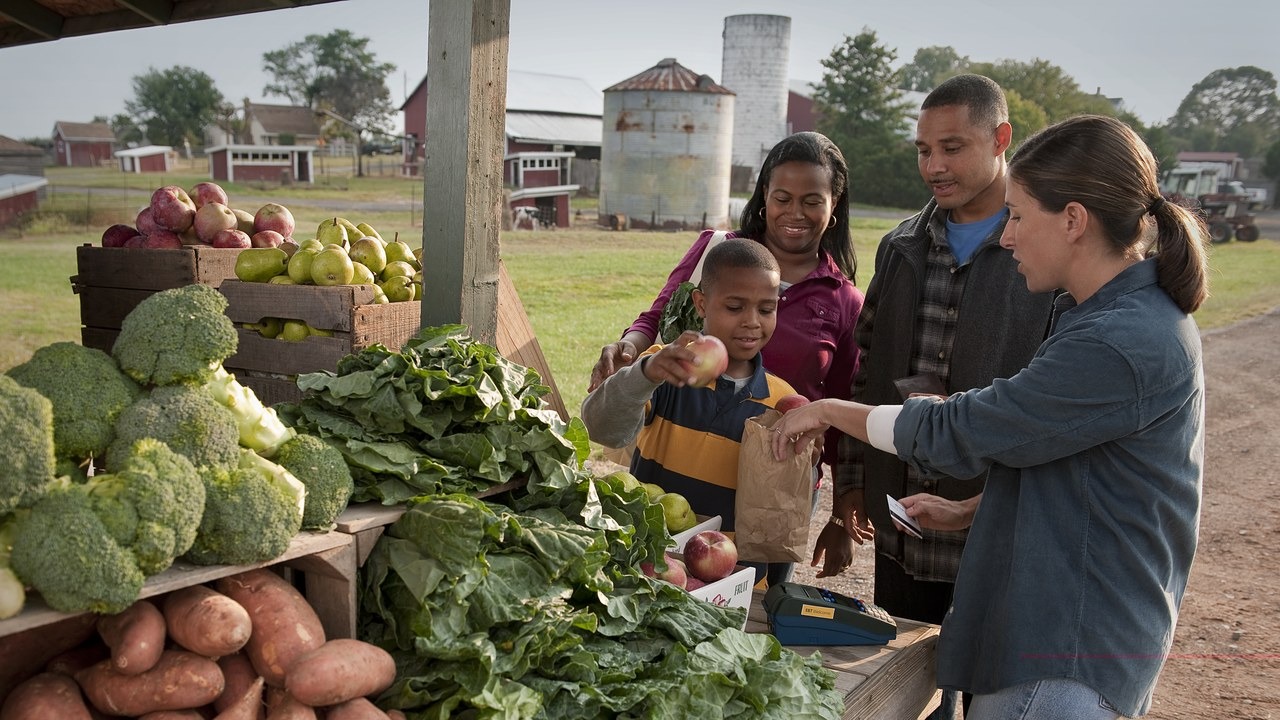 SNAP benefit amounts reset October 1, and next year’s numbers are still unpublished