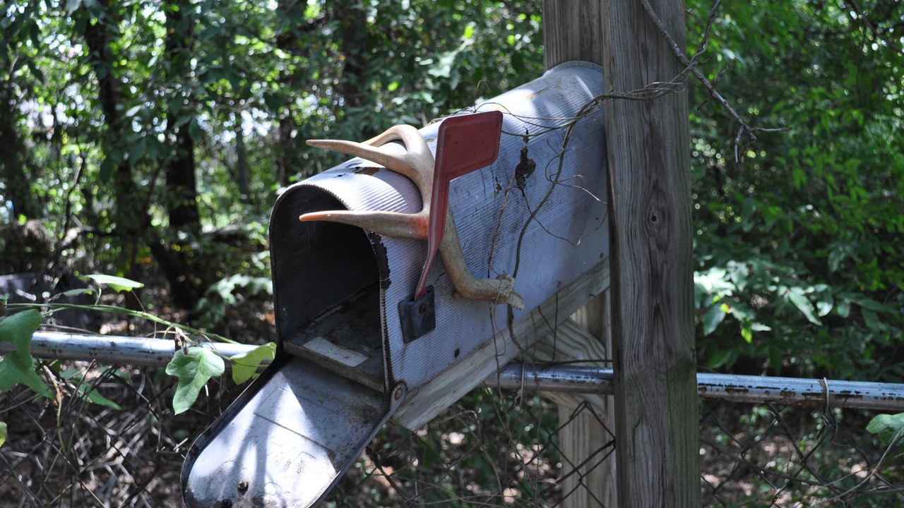 Every Medicare plan must mail members a 2027 change notice by September 30