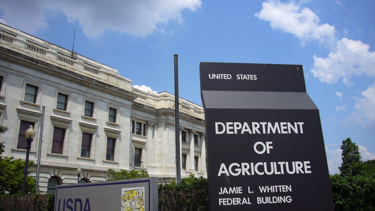 Ten percent of food stamp dollars went out wrong last year, and states will start paying a share