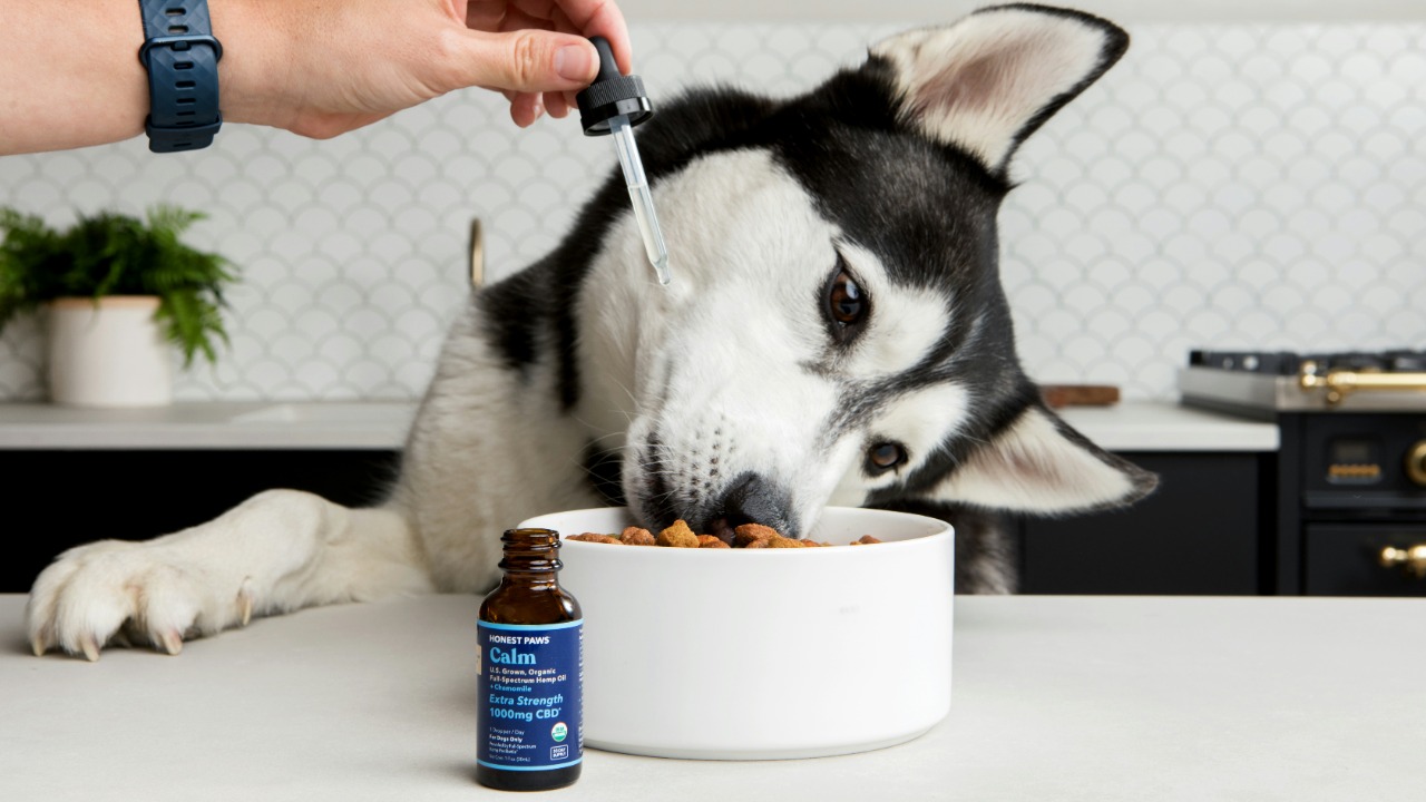 FDA lists a recall of FI animal supplements over possible Salmonella contamination.