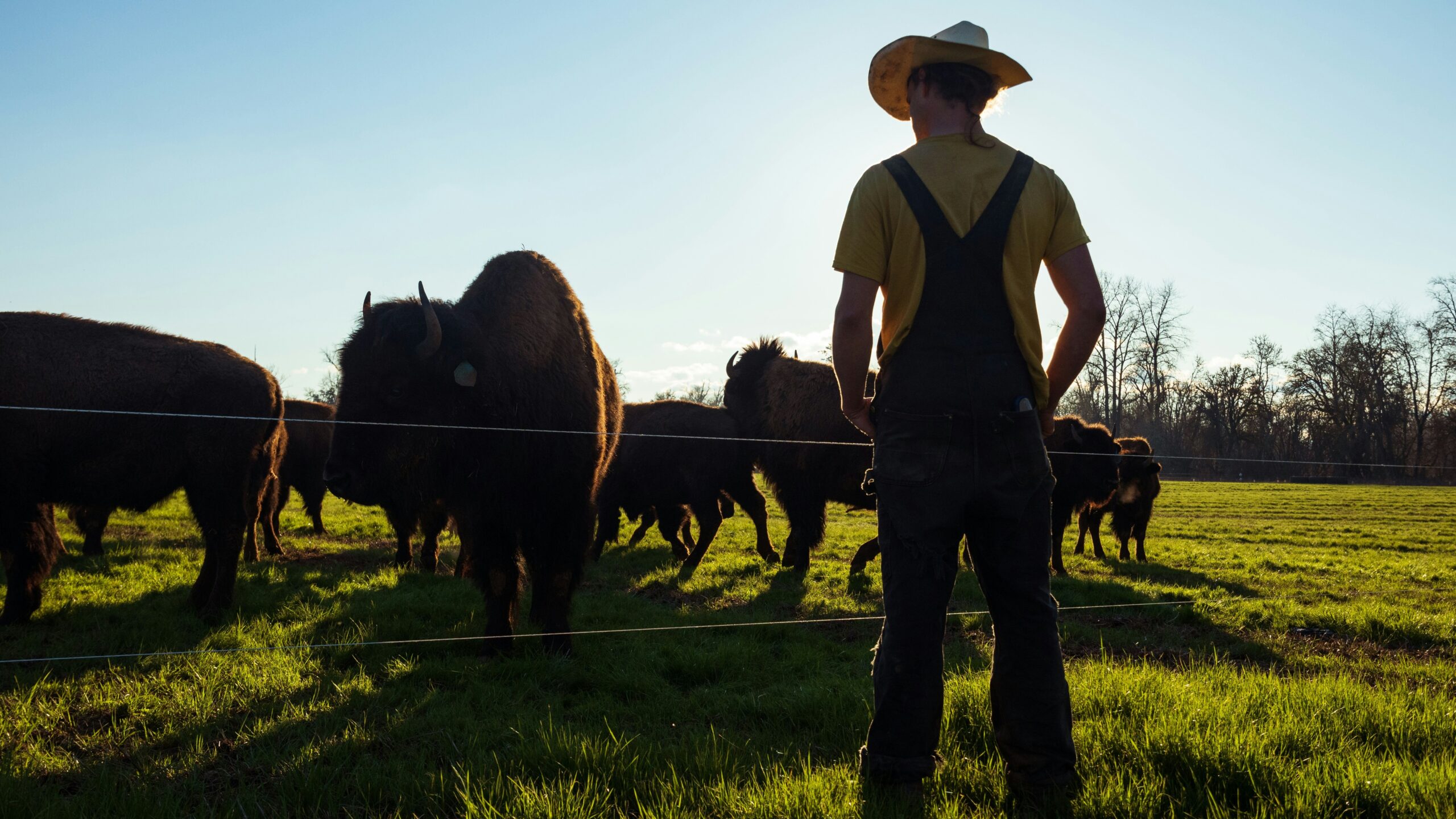 Two orders on ranchers were signed Friday, and neither one changes the price of beef