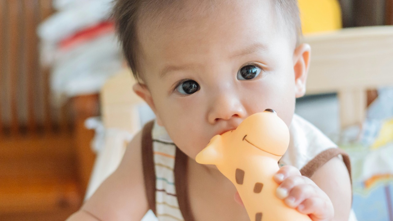 SHEIN offers refunds for recalled teething toys sold to 644 customers