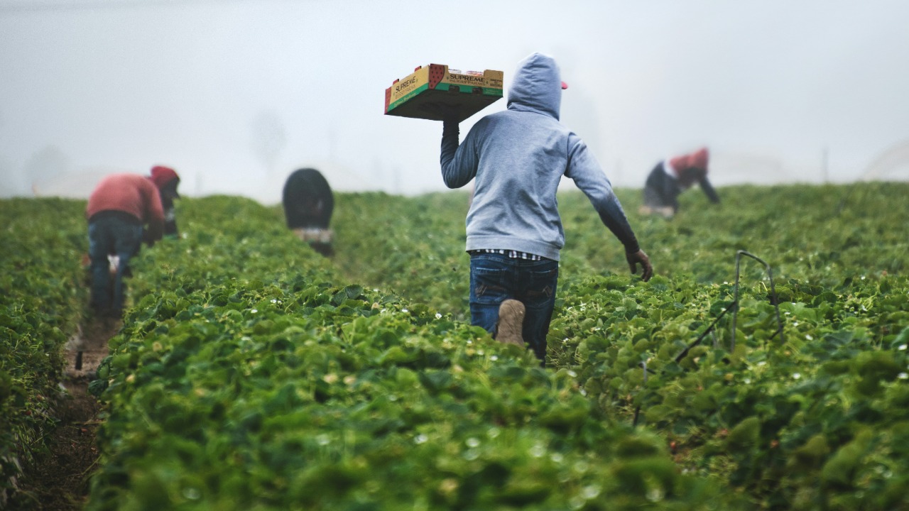 The same contractor test would be extended to family and medical leave and to farmworker protections, well beyond the wage law it was written for.
