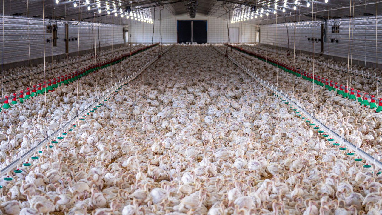 Alabama farms can skip the state utility gross receipts tax on power for poultry houses, greenhouses and pivot irrigation through Aug. 31, 2029