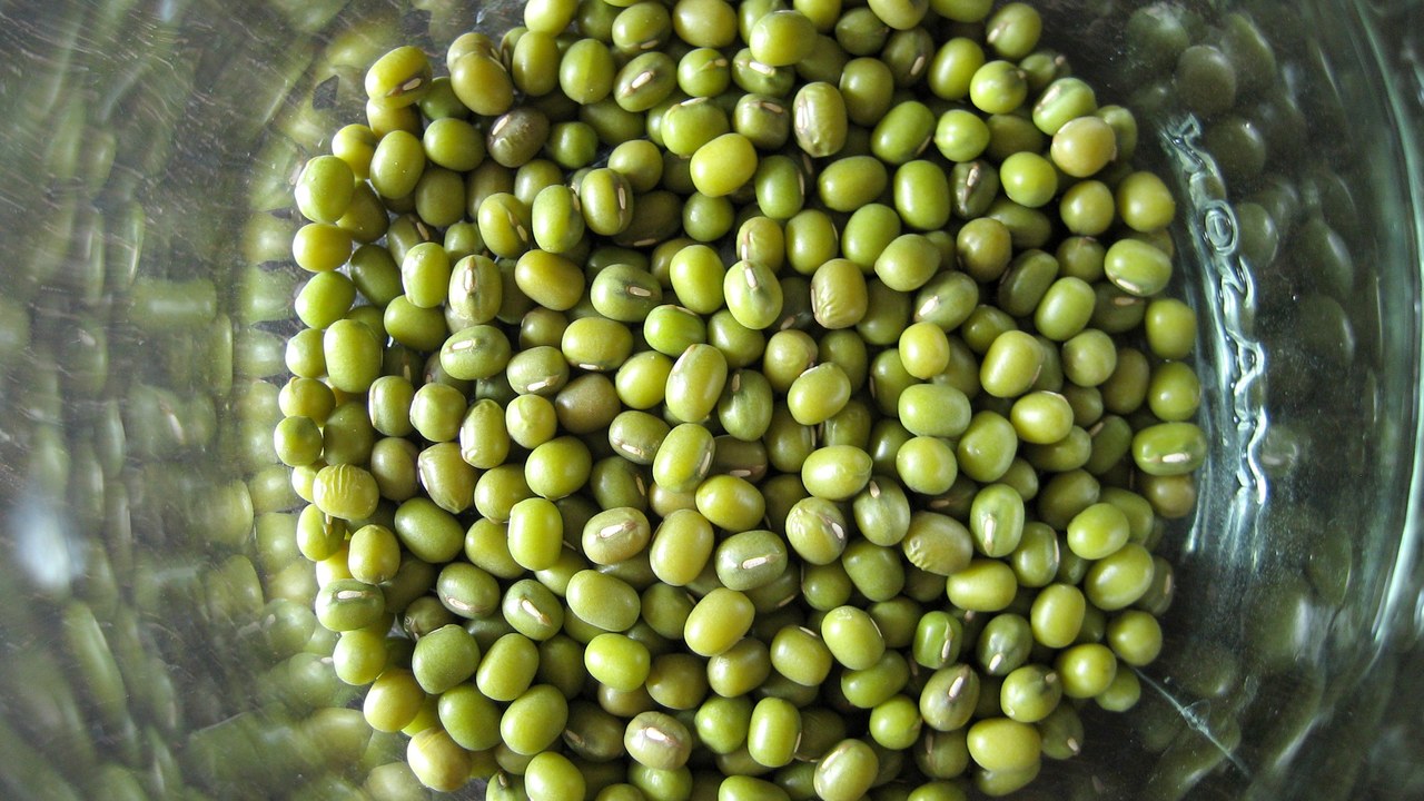 Natural Grocers is refunding 2-pound organic mung bean bags sold in 22 states
